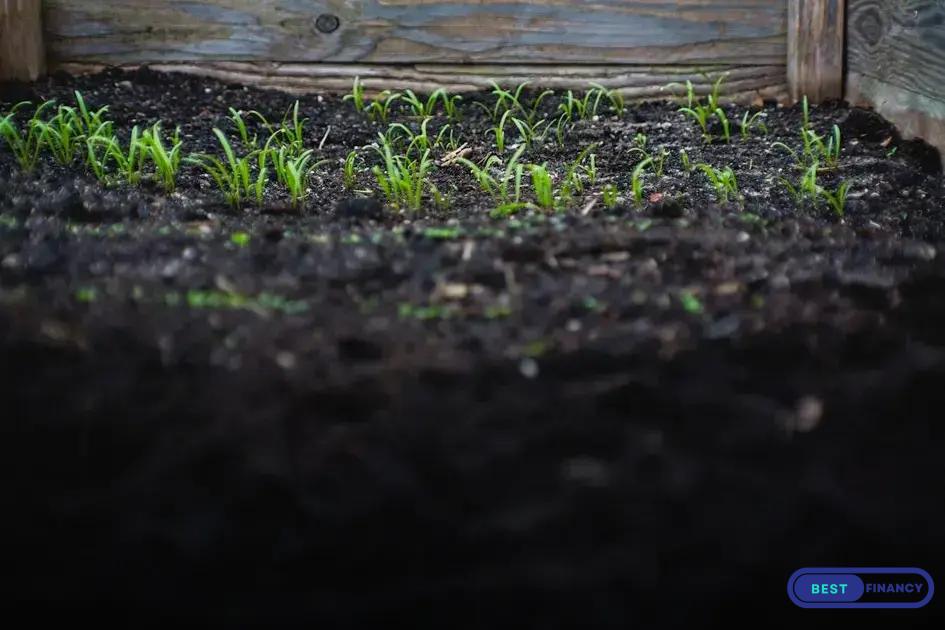 Common Mistakes and How to Avoid Them