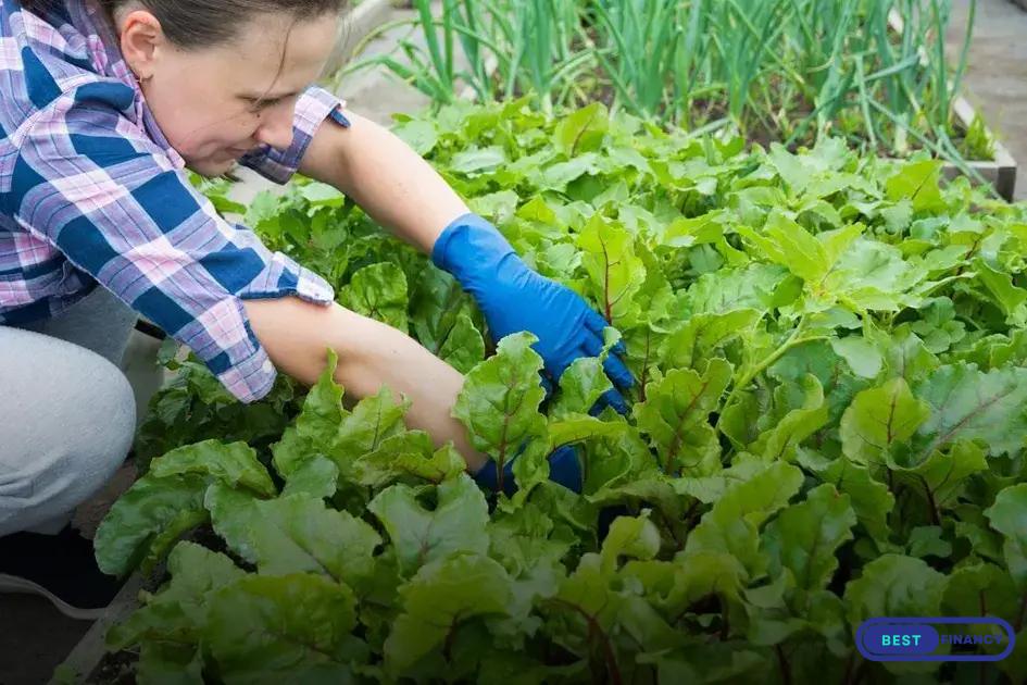 Common Mistakes to Avoid